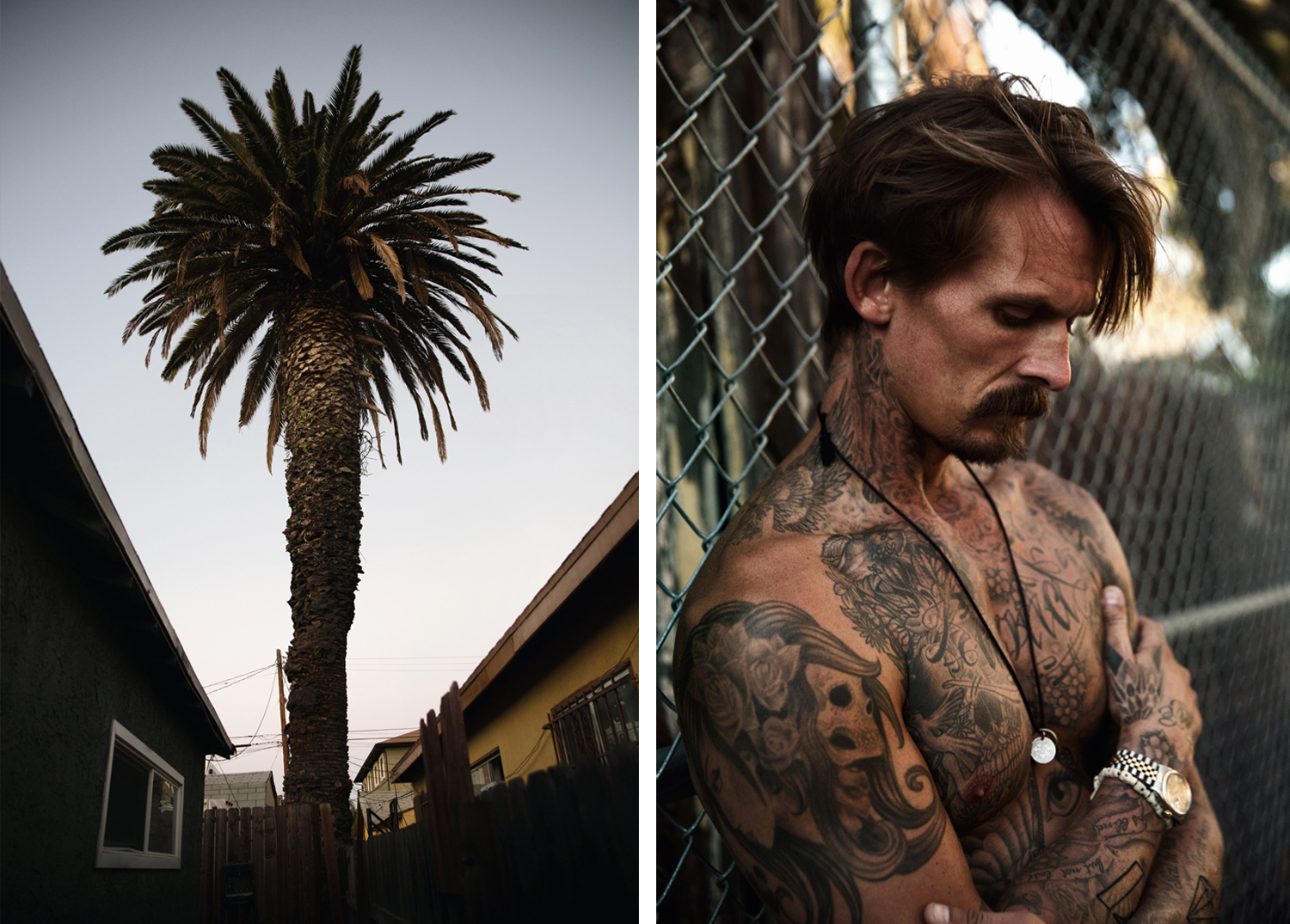 a picture of a palm tree next to a picture of a tattooed guy leaning agains a fence